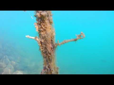 Sioni Lake Underwater / სიონის წყალსაცავის წყალქვეშა კადრები/ Country of Georgia